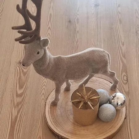 Belamor アパート *